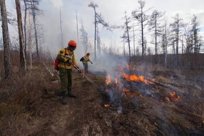 В трёх районах Якутии действуют четыре крупных природных пожара - mk.ru - респ. Саха - Верхоянск - Среднеколымск - Вилюйск - район Томпонский