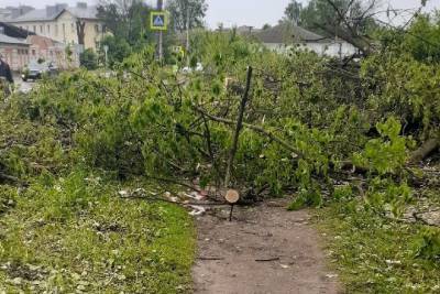 В Смоленске коммунальщики вырубили и бросили на дороге деревья возле ДК «Сортировка» - mk-smolensk.ru - Смоленск