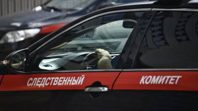 В СК сообщили о состоянии пострадавшего при задержании в Новосибирской области - russian.rt.com - Новосибирская обл.