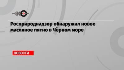Светлана Радионова - Росприроднадзор обнаружил новое масляное пятно в Чёрном море - echo.msk.ru
