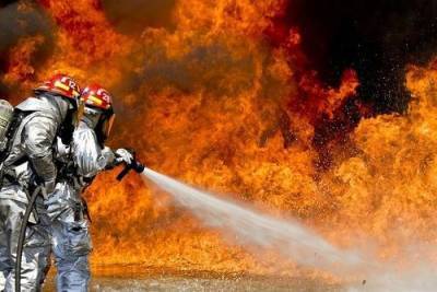 Пожар вспыхнул на нефтеперерабатывающем заводе в США - argumenti.ru - США - USA - штат Западная Виргиния