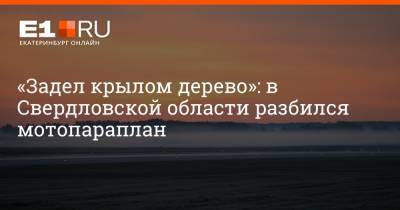 Валерий Горелых - Артем Устюжанин - «Задел крылом дерево»: в Свердловской области разбился мотопараплан - e1.ru - Екатеринбург - Свердловская обл. - Первоуральск