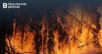 За сутки площадь лесных пожаров в Якутии выросла почти на 2 тысячи гектаров - realnoevremya.ru - респ. Саха - Верхоянск - Среднеколымск - Вилюйск - район Томпонский