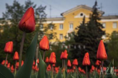 Роман Вильфанд - Придёт жара, а потом снова похолодает: в Гидрометцентре России рассказали о погоде в Кузбассе - gazeta.a42.ru - Алтайский край - округ Сибирский - респ. Хакасия - Томская обл.