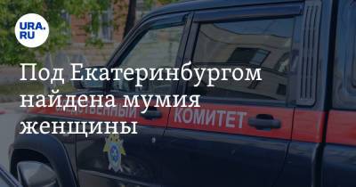Под Екатеринбургом найдена мумия женщины - ura.news - Екатеринбург - шт.Аляска