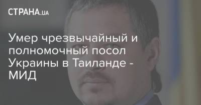 Владимир Зеленский - Умер чрезвычайный и полномочный посол Украины в Таиланде - МИД - strana.ua - Львов - Нью-Йорк - Таиланд