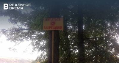 В Зеленодольске утонул пьяный мужчина - realnoevremya.ru - респ. Татарстан - Казань - Зеленодольск