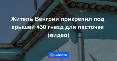 Житель Венгрии прикрепил под крышей 430 гнезд для ласточек (видео) - news.mail.ru - Венгрия - Reuters