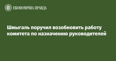 Денис Шмыгаль - Алексей Любченко - Шмыгаль поручил возобновить работу комитета по назначению руководителей - epravda.com.ua