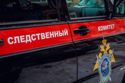 Собачник нашел мумифицированный труп женщины под Екатеринбургом - news.vse42.ru - Екатеринбург - шт.Аляска