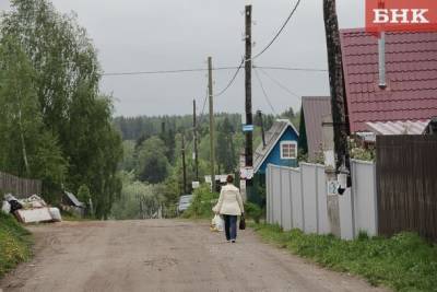 Пандемия возродила интерес россиян к дачам и огородам - bnkomi.ru