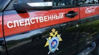 СК начал проверку по факту гибели двух человек при пожаре в доме Твери - russian.rt.com - Тверь