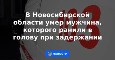 В Новосибирской области умер мужчина, которого ранили в голову при задержании - news.mail.ru - Новосибирск - Новосибирская обл. - район Мошковский