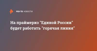 На праймериз "Единой России" будет работать "горячая линия" - ren.tv