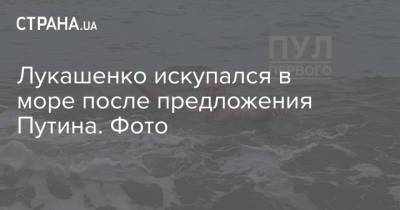 Владимир Путин - Александр Лукашенко - Лукашенко искупался в море после предложения Путина. Фото - strana.ua - Сочи