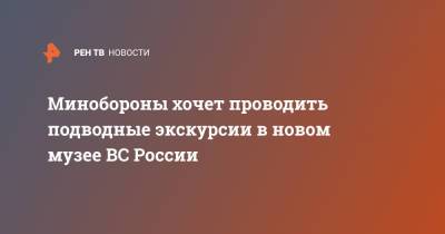 Сергей Шойгу - Минобороны хочет проводить подводные экскурсии в новом музее ВС России - ren.tv - Москва
