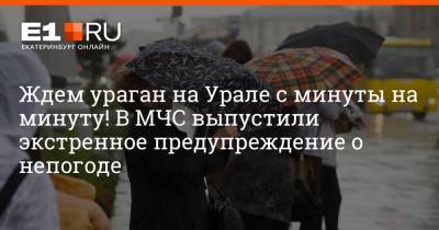 Артем Устюжанин - Ждем ураган на Урале с минуты на минуту! В МЧС выпустили экстренное предупреждение о непогоде - e1.ru - Екатеринбург - Свердловская обл.