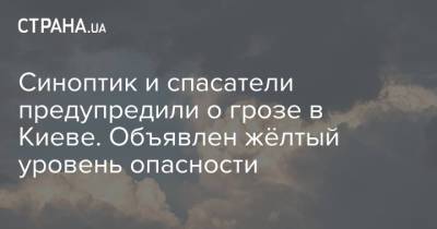 Наталья Диденко - Синоптик и спасатели предупредили о грозе в Киеве. Объявлен жёлтый уровень опасности - strana.ua - Киев