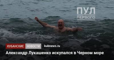 Владимир Путин - Александр Лукашенко - Александр Лукашенко искупался в Черном море - kubnews.ru - Сочи - Краснодарский край - Черное Море