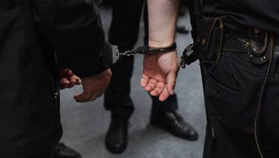 София Сапега - Егор Дудников - Мать задержанного в Минске россиянина рассказала об аресте сына - gazeta.ru - Минск