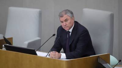 Владимир Путин - Вячеслав Володин - Джо Байден - Володин оценил заявления Европарламента в адрес России - russian.rt.com