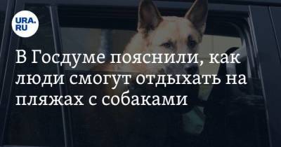 Владимир Бурматов - В Госдуме пояснили, как люди смогут отдыхать на пляжах с собаками - skuke.net - Россия