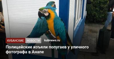 Полицейские изъяли попугаев у уличного фотографа в Анапе - kubnews.ru - Анапа - Краснодарский край - Ростовская обл.