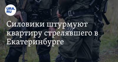 Силовики штурмуют квартиру стрелявшего в Екатеринбурге. Видео - ura.news - Екатеринбург