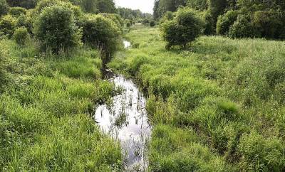 Guide to the corners of nature in the project " Grodno region: a protected world" - grodnonews.by - Belarus