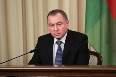 Владимир Макей - Софья Сапеги - Глава МИД Белоруссии прокомментировал ситуацию с задержанной россиянкой - lenta.ru - Вильнюс - Минск