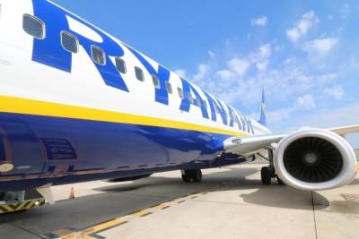 Владимир Макей - Макей: пилоты могли посадить самолет Ryanair в Вильнюсе, но выбрали Минск - mk.ru - Вильнюс - Минск