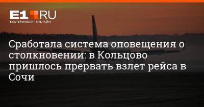 Артем Устюжанин - Сработала система оповещения о столкновении: в Кольцово пришлось прервать взлет рейса в Сочи - e1.ru - Сочи - Екатеринбург