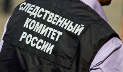 Следственный комитет проверит бывшего вице-мэра Екатеринбурга Илью Борзенкова - nashgorod.ru - Екатеринбург