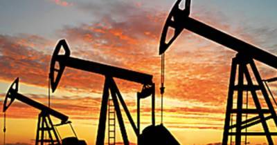 Михаил Сухов - Экономист предсказал снижение цен на нефть в 2021 году - ren.tv - Иран