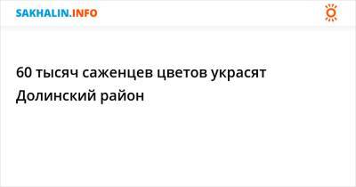 60 тысяч саженцев цветов украсят Долинский район - sakhalin.info - Долинск