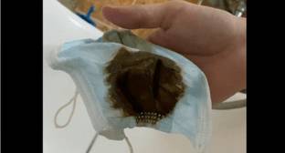 Жители Краснодара пожаловались на грязную воду из-под крана - kavkaz-uzel.eu - Краснодар