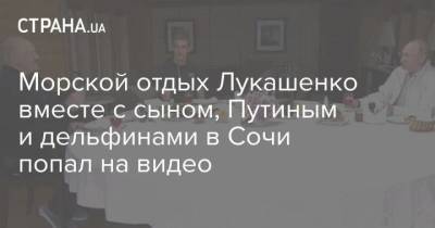 Владимир Путин - Александр Лукашенко - Николай Лукашенко - Морской отдых Лукашенко вместе с сыном, Путиным и дельфинами в Сочи попал на видео - skuke.net - Россия - Сочи - Белоруссия