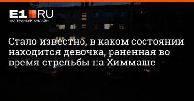 Константин Шестаков - Артем Устюжанин - Сергей Болков - Стало известно, в каком состоянии находится девочка, раненная во время стрельбы на Химмаше - e1.ru - Екатеринбург