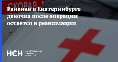 Раненая в Екатеринбурге девочка после операции остается в реанимации - nsn.fm - Екатеринбург