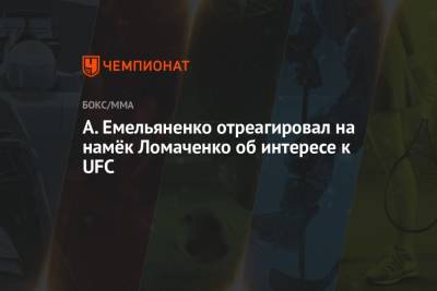 Василий Ломаченко - Александр Емельяненко - А. Емельяненко отреагировал на намёк Ломаченко об интересе к UFC - championat.com
