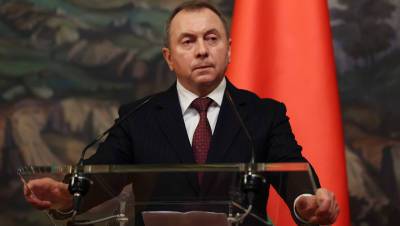 Владимир Макей - МИД Белоруссии заявил о подготовке провокаций российскими олигархами - gazeta.ru - Минск