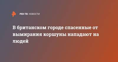 В британском городе спасенные от вымирания коршуны нападают на людей - ren.tv - Англия - Великобритания