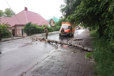 На западе Украины реки выйдут из берегов - kp.ua - Украина - Луганская обл. - Запорожская обл. - Ивано-Франковская обл. - Львовская обл. - Закарпатская обл. - Донецкая обл.