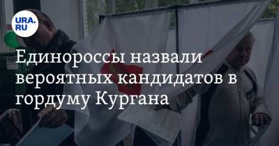 Единороссы назвали вероятных кандидатов в гордуму Кургана - ura.news - Курган