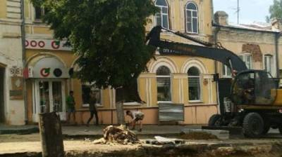 Уничтожение деревьев на Московской оценили менее чем в 5 000 руб. - penzainform.ru