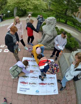 Сахалинцы смогут сыграть в "Лососевый твистер" - sakhalin.info - Южно-Сахалинск