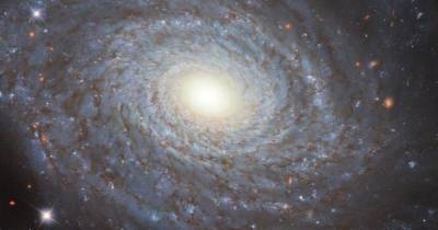 120 млн световых лет от Земли. Телескоп Хаббл сделал невероятно детальный снимок спиральной галактики - focus.ua