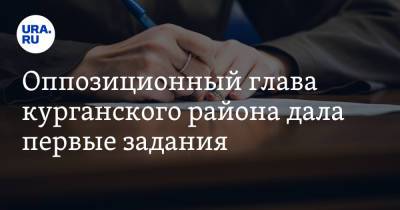 Оппозиционный глава курганского района дала первые задания - ura.news - Курганская обл.