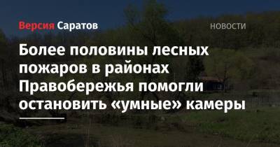 Более половины лесных пожаров в районах Правобережья помогли остановить «умные» камеры - nversia.ru - Красноармейск - Воскресенск