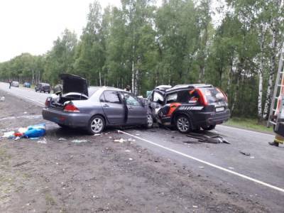 Уголовное дело возбуждено по факту массового ДТП в Борском районе - vgoroden.ru - Нижегородская обл. - Нижний Новгород